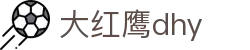 大红鹰dhy(中国)有限公司官网